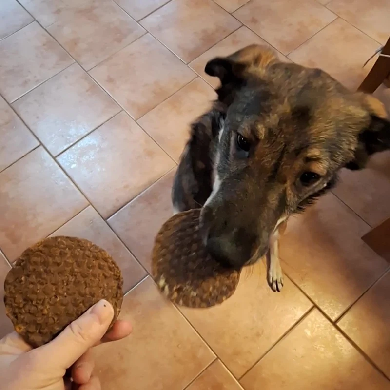 Pferde-Burger
