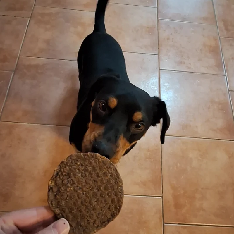 Hühner-Burger