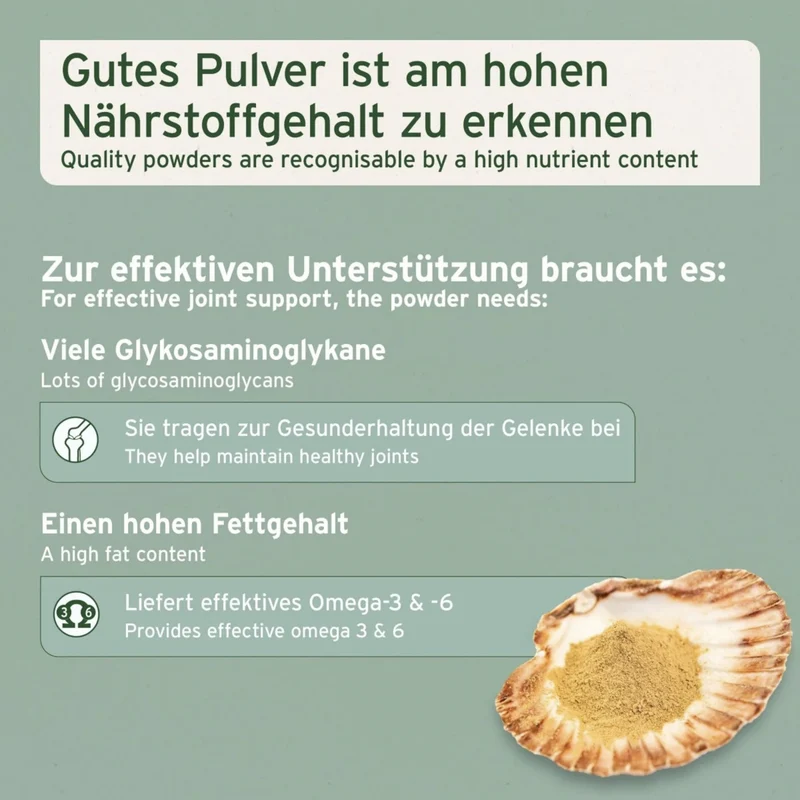 AniForte Grünlippmuschel Kapseln für Hunde – Natürliche Gelenkunterstützung mit Neuseeländischer Perna Canaliculus für Bewegungsfreude & Mobilität