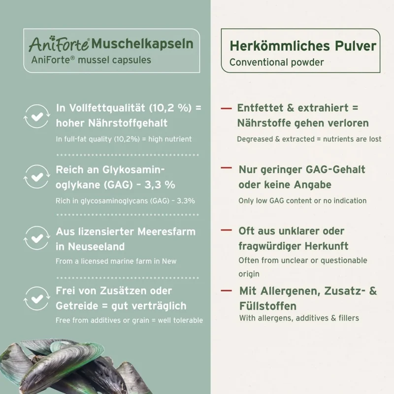 AniForte Grünlippmuschel Kapseln für Hunde – Natürliche Gelenkunterstützung mit Neuseeländischer Perna Canaliculus für Bewegungsfreude & Mobilität