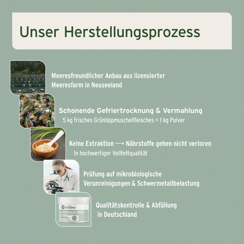 AniForte Grünlippmuschel Pulver für Hunde – Natürliche Gelenkunterstützung für mehr Bewegungsfreude und Vitalität im Alltag