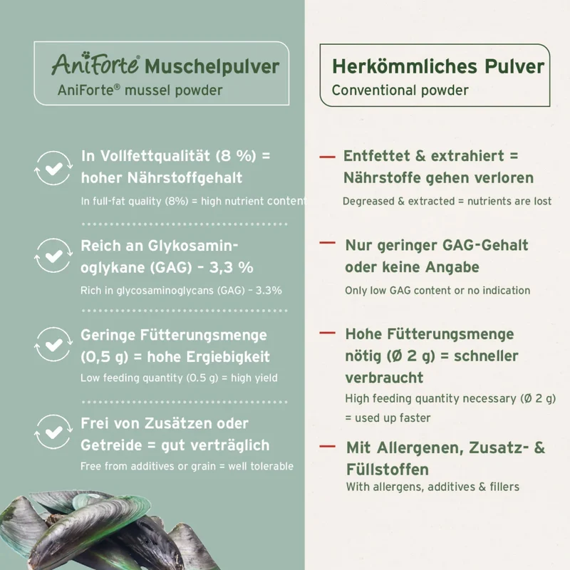 AniForte Grünlippmuschel Pulver für Hunde – Natürliche Gelenkunterstützung für mehr Bewegungsfreude und Vitalität im Alltag