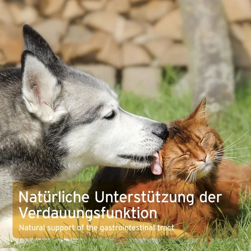 AniForte Ulmenrinde Pulver für Hunde – Natürliche Magen-Darm-Beruhigung bei Verdauungsproblemen, Durchfall & empfindlichem Magen