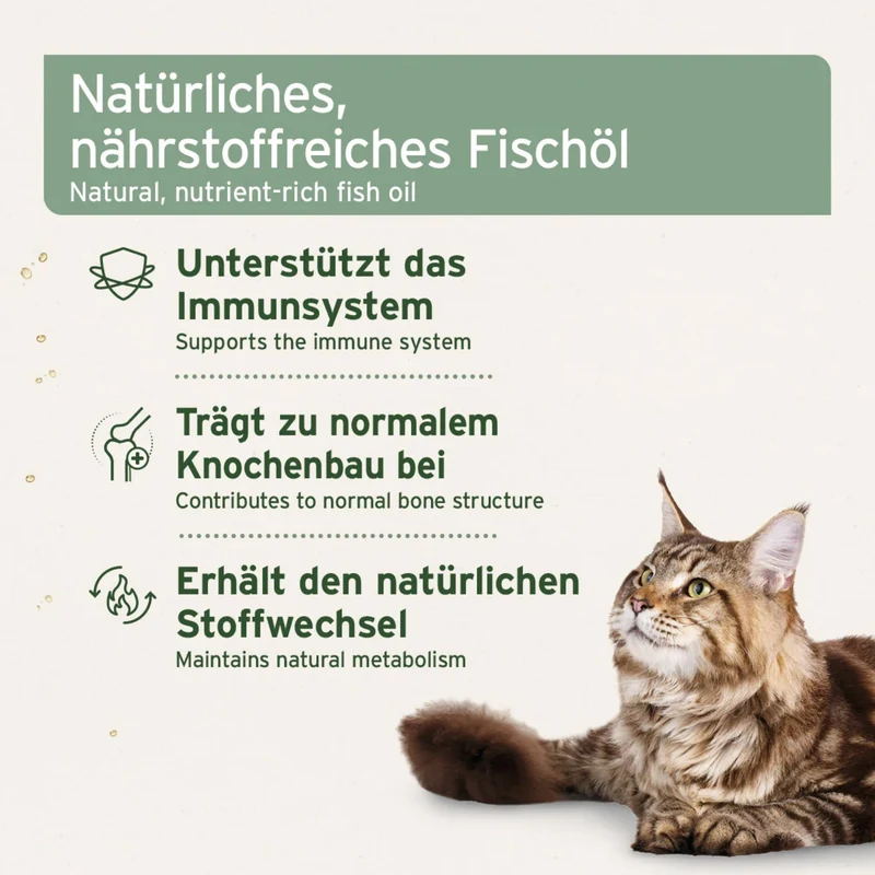 AniForte Lebertran für Hunde – Premium Omega-3 & Vitamin D Öl für starke Knochen, glänzendes Fell und natürliche Immunabwehr