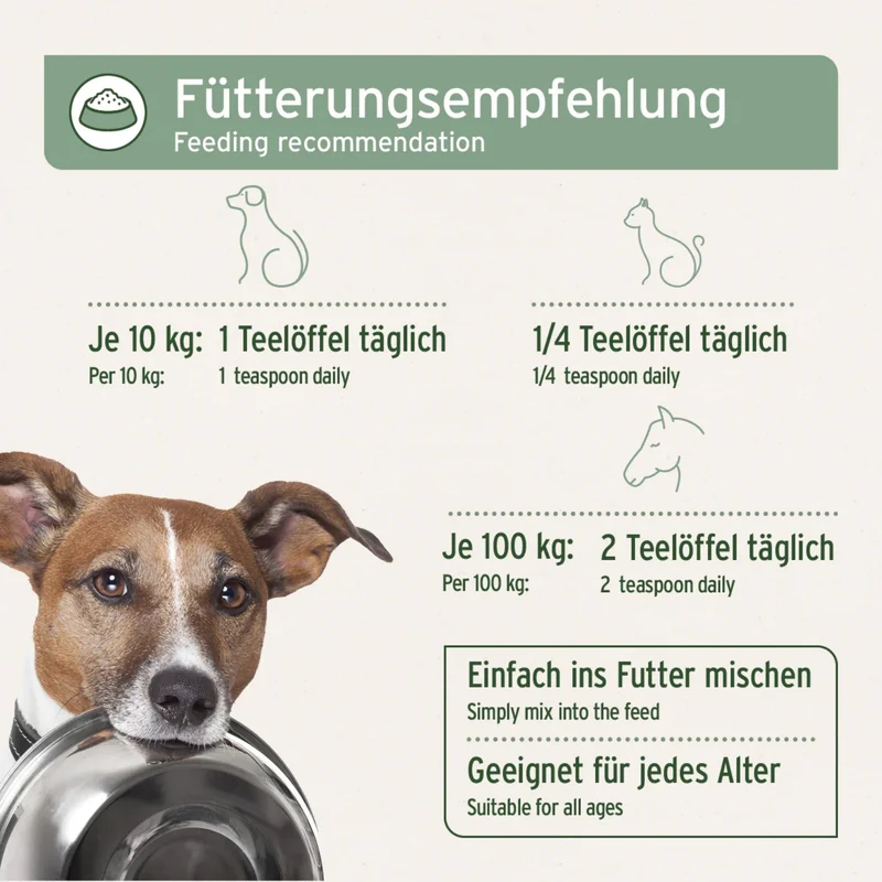 AniForte Lachsöl für Hunde – 100% Reines Norwegisches Lachsöl mit Omega-3 für Glänzendes Fell, Gesunde Haut & Starke Gelenke