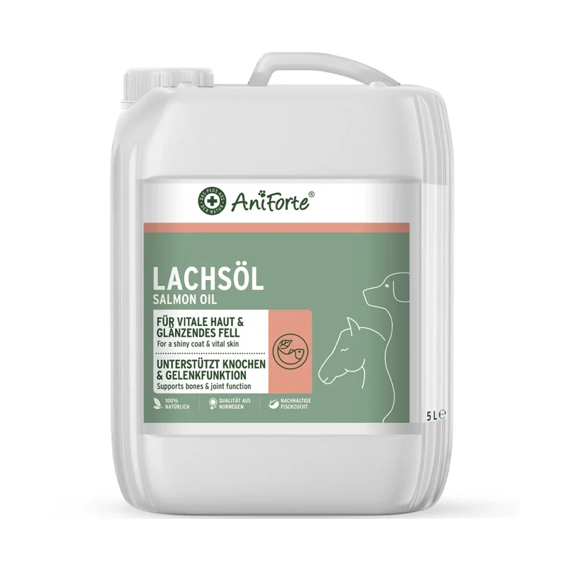AniForte Lachsöl für Hunde – 100% Reines Norwegisches Lachsöl mit Omega-3 für Glänzendes Fell, Gesunde Haut & Starke Gelenke