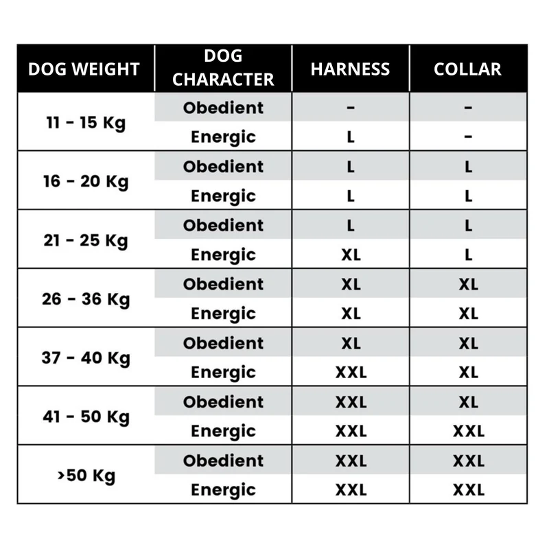 WAW HAND Easy Dog Walk Ruckdämpfer-Leine mit Griff – Gelenkschonend für Hund & Halter, Patentiertes Stoßdämpfer-System gegen Ziehen