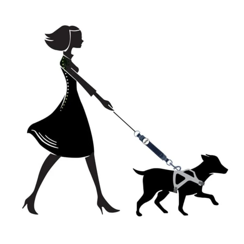 WAW Easy Dog Walk Ruckdämpfer-Hundeleine – Patentiertes Stoßdämpfer-System für entspannte Spaziergänge ohne Ziehen und Zerren