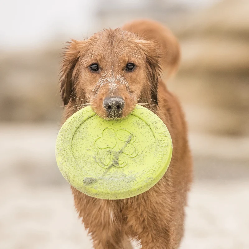 West Paw Zogoflex Zisc – Robustes Frisbee für aktive Hunde, schwimmfähig & flexibel