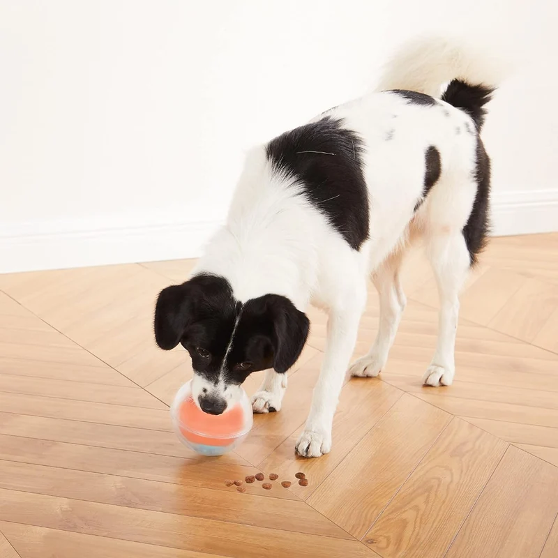Nina Ottosson Dog Rumble Puzzle Level 1 – Interaktives Intelligenzspielzeug gegen Langeweile & für mentale Auslastung