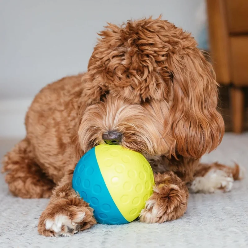 Nina Ottosson Treat Tumble Ball – Intelligenzspielzeug gegen Langeweile & Unterforderung – Level 1