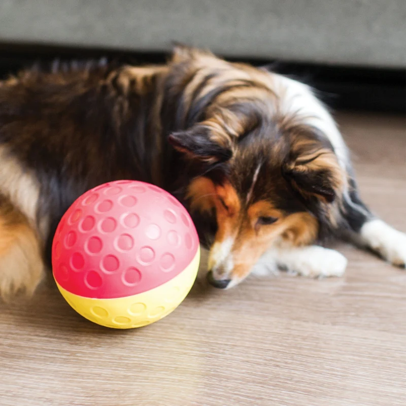 Nina Ottosson Treat Tumble Ball – Intelligenzspielzeug gegen Langeweile & Unterforderung – Level 1