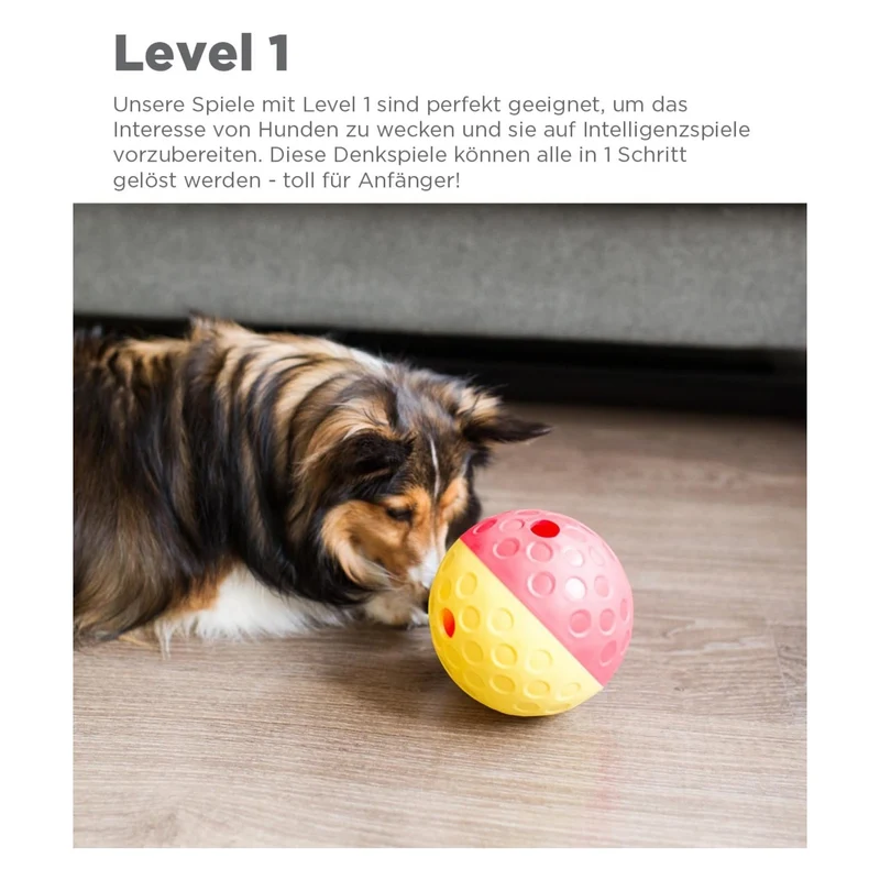 Nina Ottosson Treat Tumble Ball – Intelligenzspielzeug gegen Langeweile & Unterforderung – Level 1