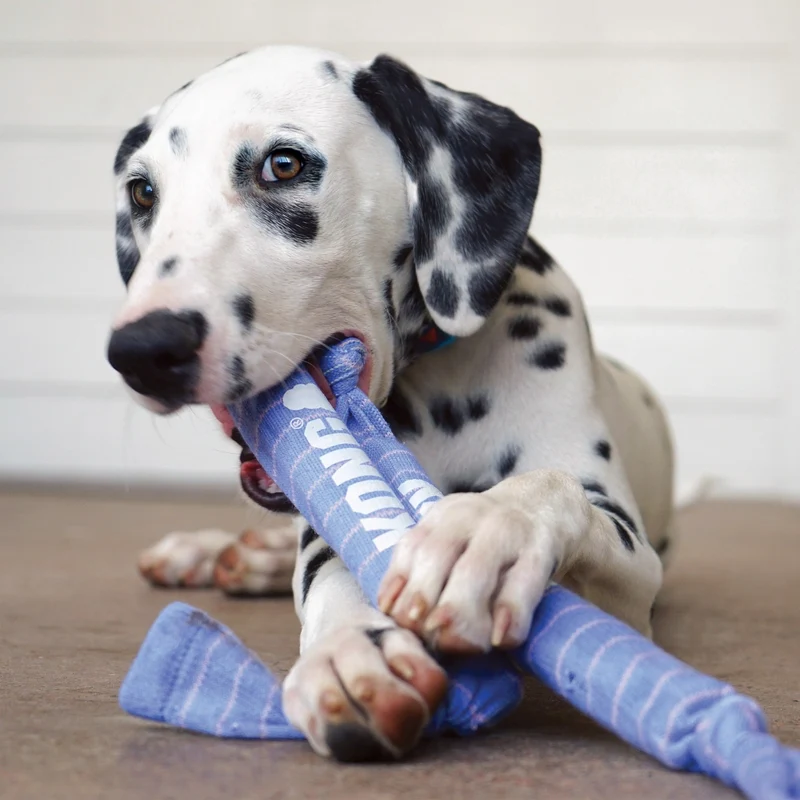 KONG Crunch Rope Single Puppy – Knisterndes Welpenspielzeug mit robustem Seil für Apportieren, sanftes Kauen & Zahnungshilfe bei jungen Hunden