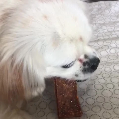 Kaninchen-Fleischstreifen