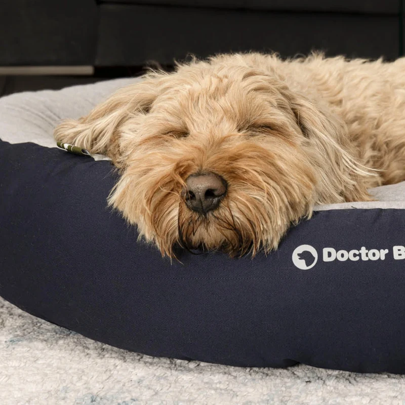 Doctor Bark Ergonomisches Hundenest – Hundebett gegen Gelenkschmerzen & für erholsamen Schlaf