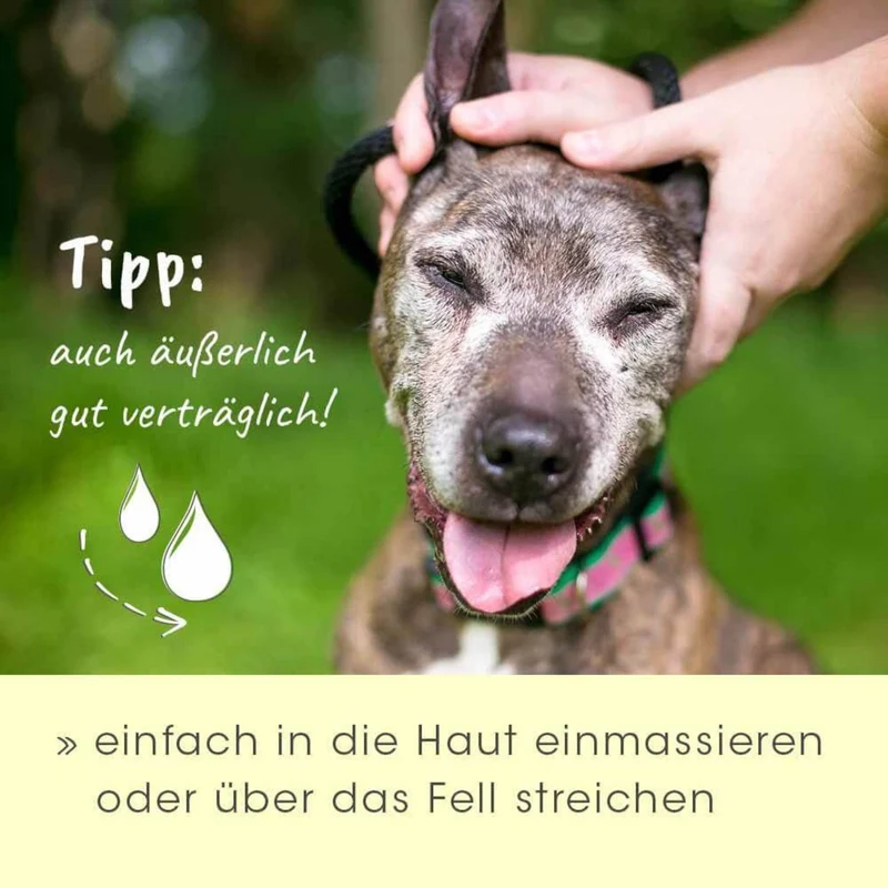 cdVet insektoVet Bio-Kokos-Schwarzkümmel-Öl – Natürlicher Parasitenschutz für Hunde mit hochwertigen Bio-Ölen