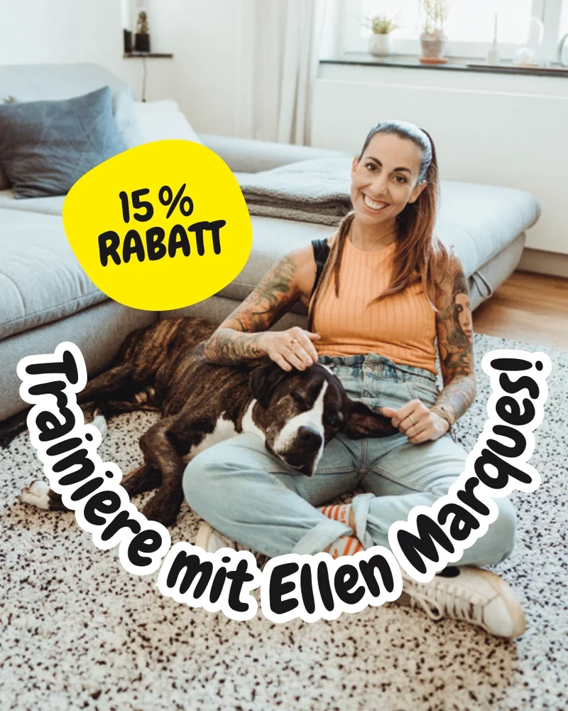 BUDDY. Hundespielzeug aus Leder "Affe"