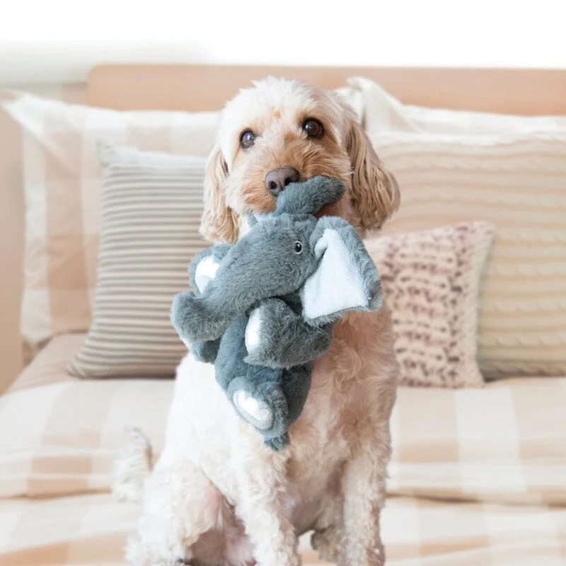 KONG | Comfort Kiddos