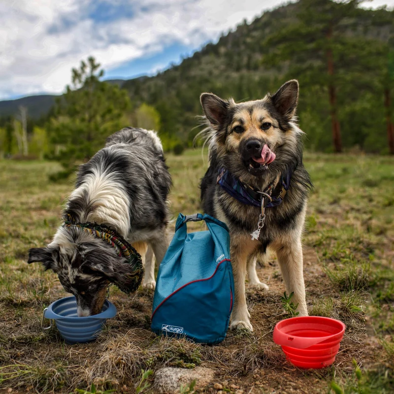 Kurgo Collaps-A-Bowl – Faltbarer Hundenapf für unterwegs, Reisen & Outdoor-Abenteuer