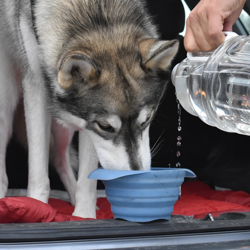 Kurgo Collaps-A-Bowl – Faltbarer Hundenapf für unterwegs, Reisen & Outdoor-Abenteuer