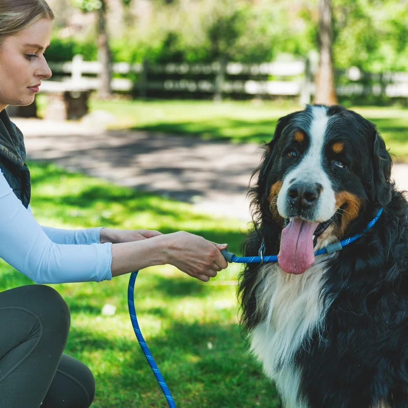 Ruffwear Just-a-Cinch Schlupfleine – Die clevere Slip-Leine für schnelles Anleinen ohne Halsband, stufenlos verstellbar, ideal für Training, Gassirunden & unterwegs