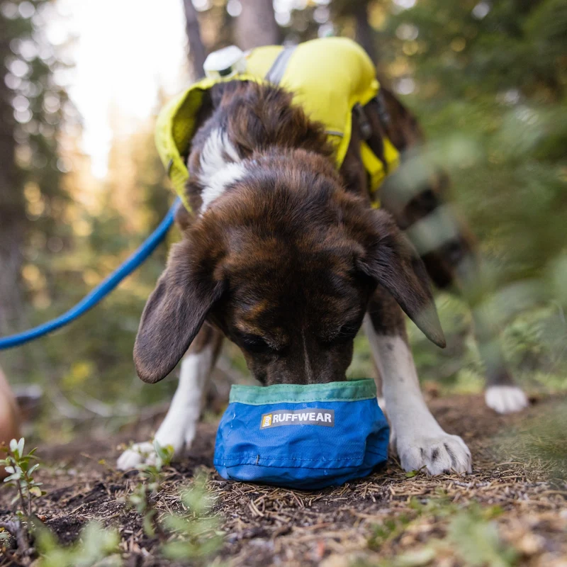 Ruffwear Trail Runner Bowl – Ultraleichter faltbarer Hundenapf für Wanderungen, Camping & Reisen – Platzsparend & robust für aktive Hunde