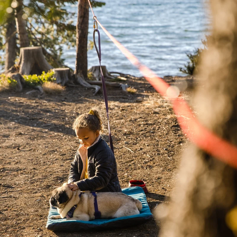 Ruffwear Knot-a-Hitch Hundeanbindung – Flexibles Anbindesystem für Camping, Wandern & Outdoor-Abenteuer mit sicherer Bewegungsfreiheit