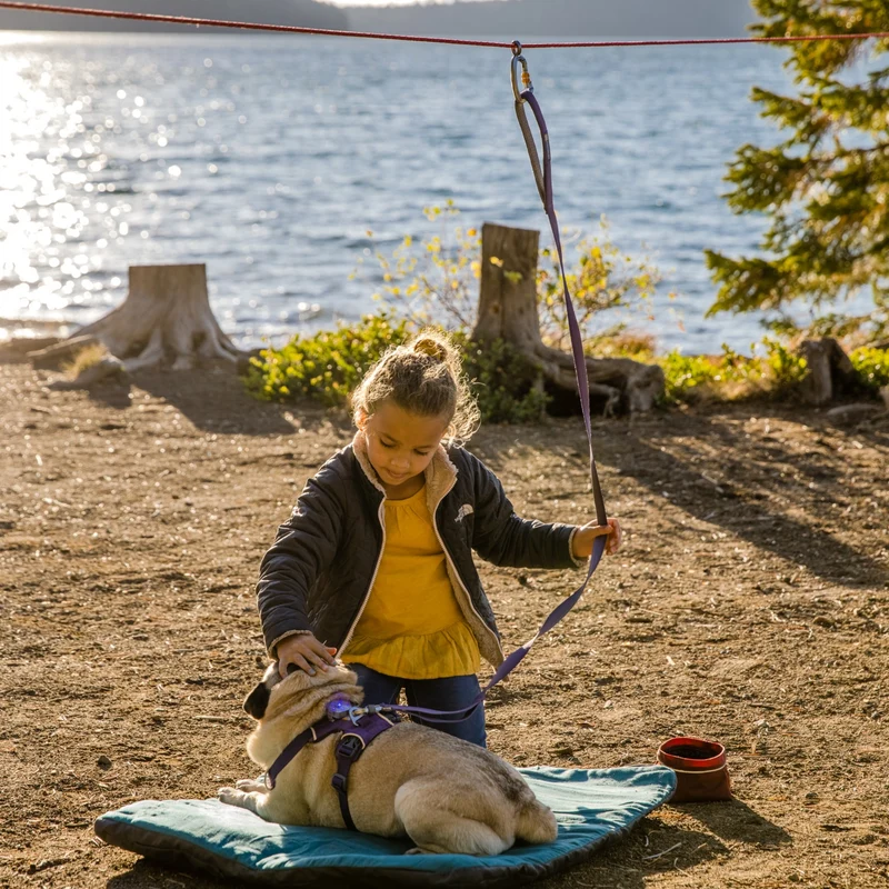 Ruffwear Knot-a-Hitch Hundeanbindung – Flexibles Anbindesystem für Camping, Wandern & Outdoor-Abenteuer mit sicherer Bewegungsfreiheit