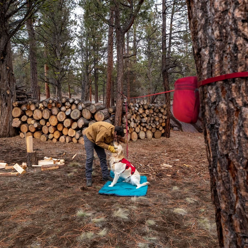 Ruffwear Knot-a-Hitch Hundeanbindung – Flexibles Anbindesystem für Camping, Wandern & Outdoor-Abenteuer mit sicherer Bewegungsfreiheit