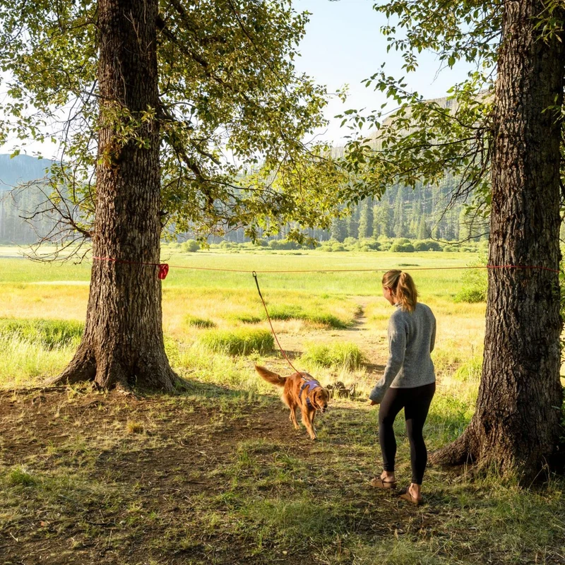 Ruffwear Knot-a-Hitch Hundeanbindung – Flexibles Anbindesystem für Camping, Wandern & Outdoor-Abenteuer mit sicherer Bewegungsfreiheit