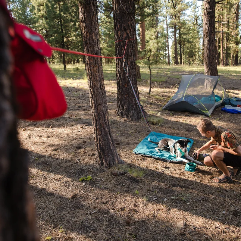 Ruffwear Knot-a-Hitch Hundeanbindung – Flexibles Anbindesystem für Camping, Wandern & Outdoor-Abenteuer mit sicherer Bewegungsfreiheit