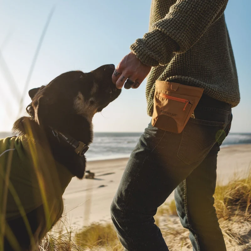 Ruffwear Treat Trader – Freihändiger Leckerlibeutel für effektives Hundetraining | Robuster Gürtelbeutel mit Magnetverschluss für schnellen Zugriff
