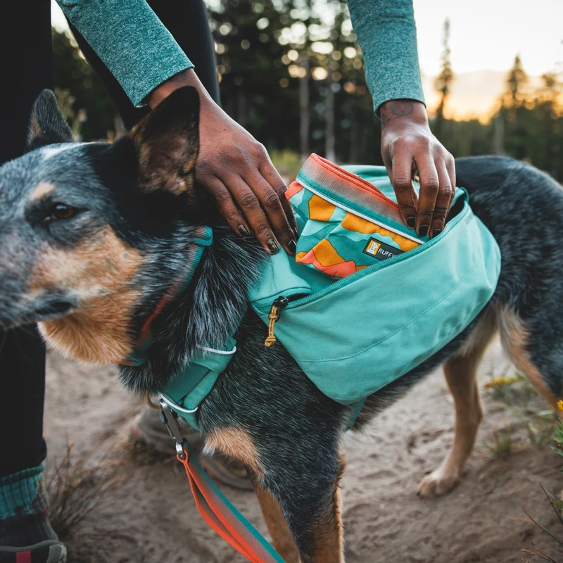 Ruffwear Quencher – Faltbarer Hundenapf für Wanderungen, Reisen & Outdoor-Abenteuer | Wasserdicht, Leicht & Platzsparend