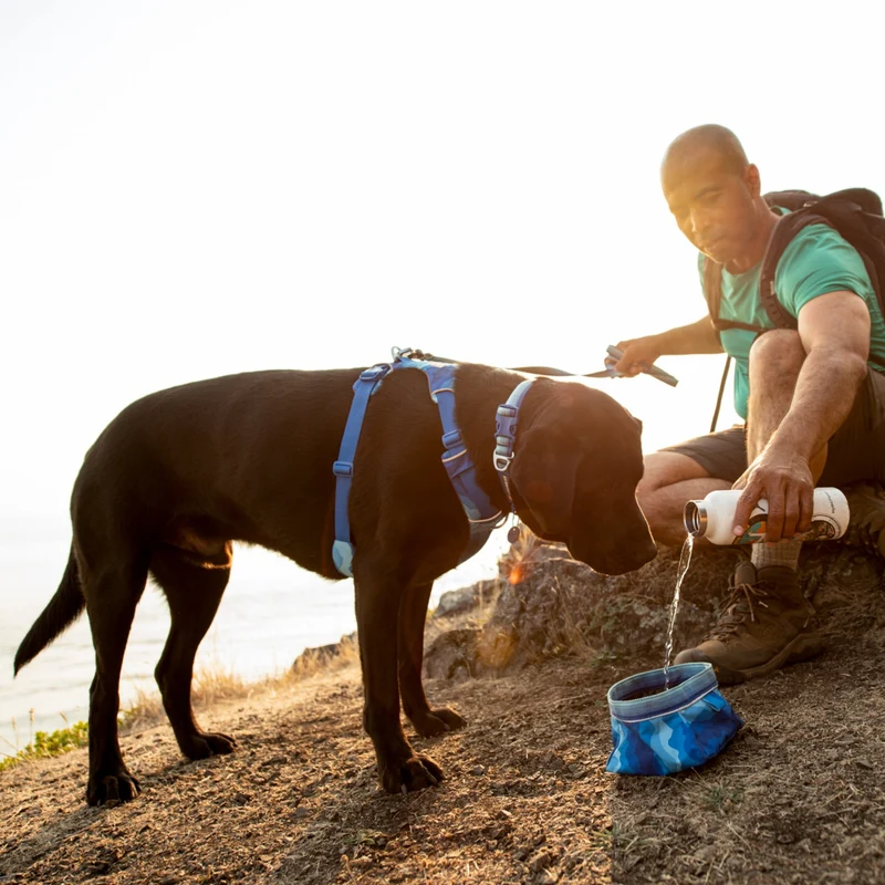 Ruffwear Quencher – Faltbarer Hundenapf für Wanderungen, Reisen & Outdoor-Abenteuer | Wasserdicht, Leicht & Platzsparend