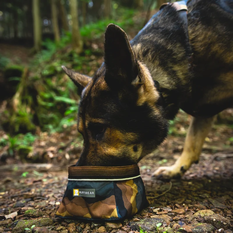 Ruffwear Quencher – Faltbarer Hundenapf für Wanderungen, Reisen & Outdoor-Abenteuer | Wasserdicht, Leicht & Platzsparend