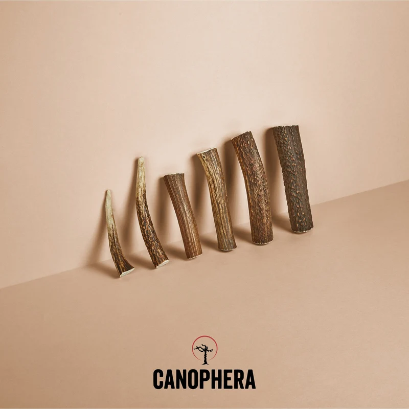 CANOPHERA | Rothirschgeweih