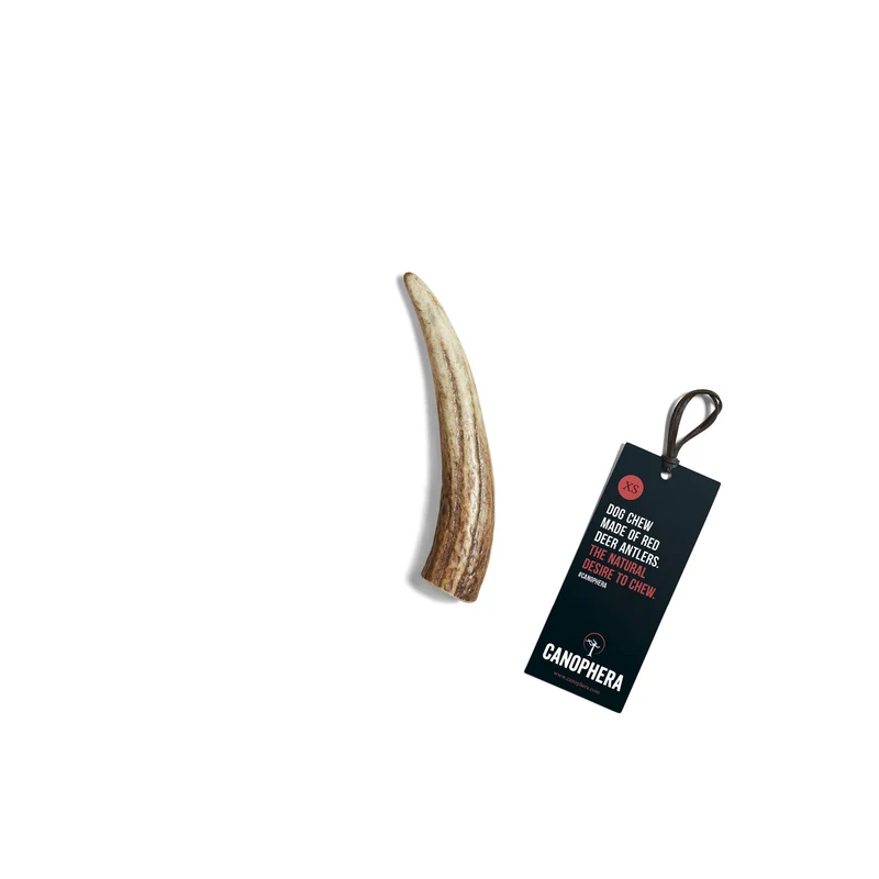 CANOPHERA | Rothirschgeweih