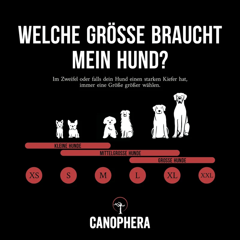 CANOPHERA | Rothirschgeweih