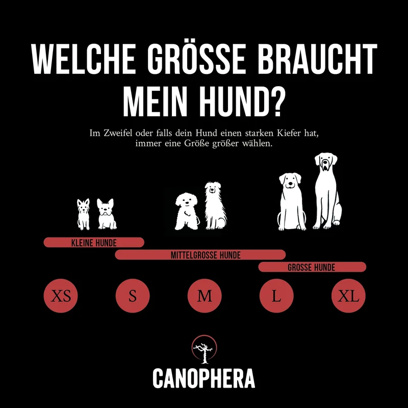 CANOPHERA | Rothirsch-Geweihhälfte