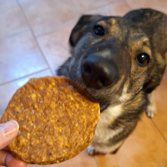 Puten-Burger