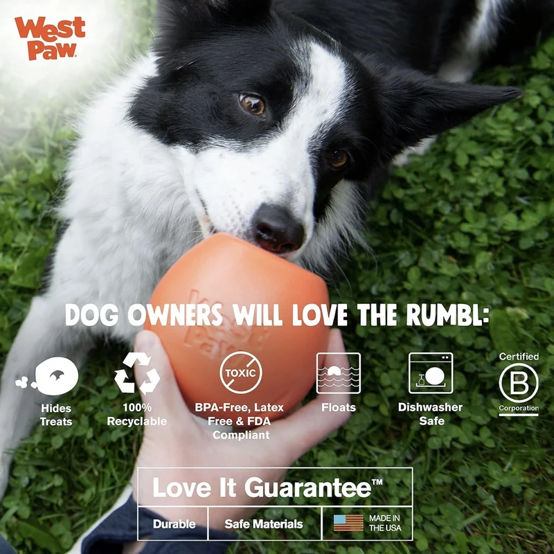 West Paw Zogoflex Echo Rumbl – Interaktives Hundespielzeug für aktive Hunde, robust & snackfüllbar für stundenlangen Spielspaß
