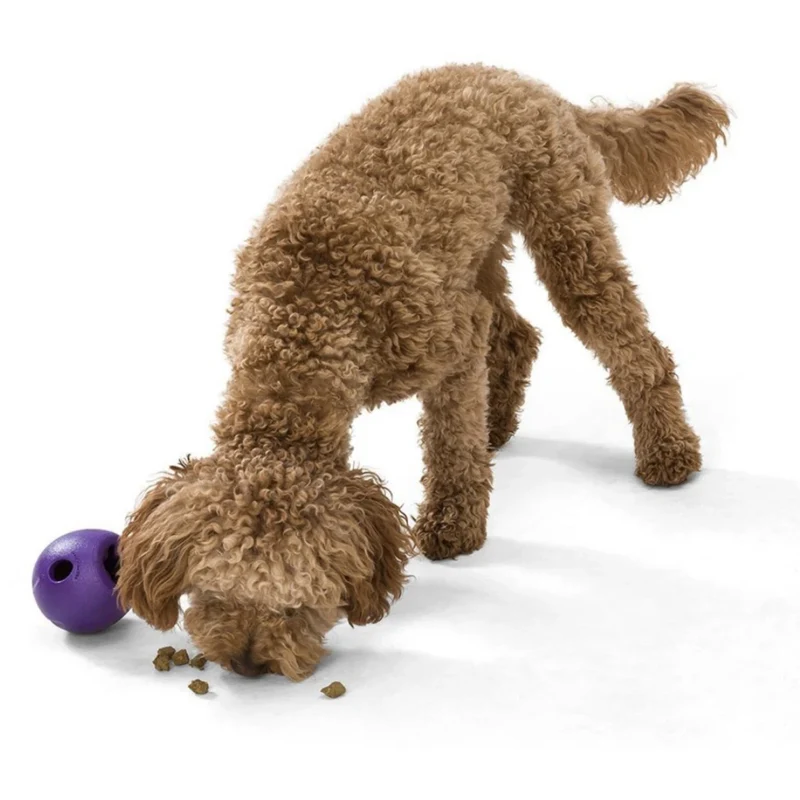 West Paw Zogoflex Echo Rumbl – Interaktives Hundespielzeug für aktive Hunde, robust & snackfüllbar für stundenlangen Spielspaß