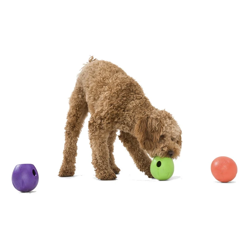 West Paw Zogoflex Echo Rumbl – Interaktives Hundespielzeug für aktive Hunde, robust & snackfüllbar für stundenlangen Spielspaß