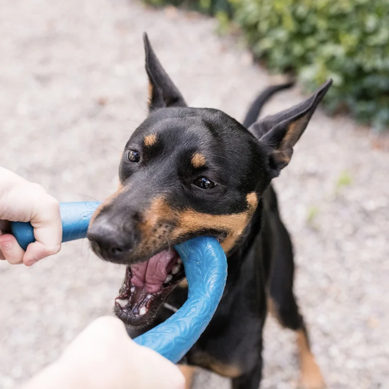 West Paw Seaflex Snorkl – Schwimmfähiges Hundespielzeug mit unendlichen Spielmöglichkeiten für aktive Hunde