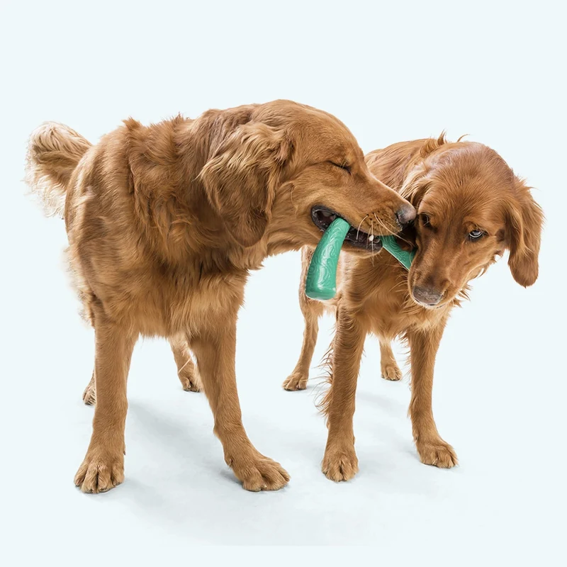 West Paw Seaflex Snorkl – Schwimmfähiges Hundespielzeug mit unendlichen Spielmöglichkeiten für aktive Hunde
