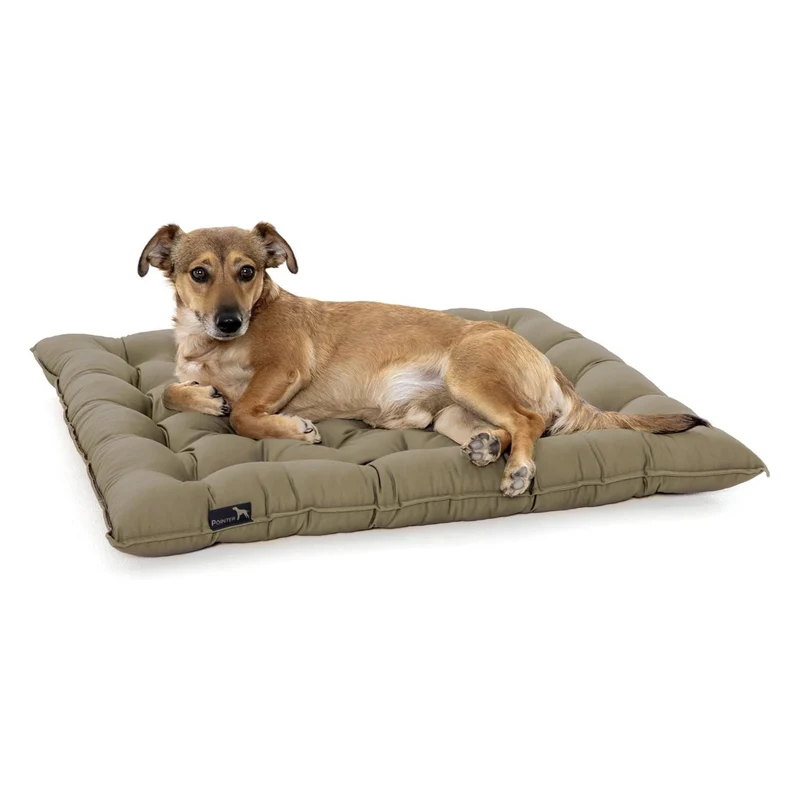 Pointer Hundekissen by Doctor Bark – Orthopädisches Premium-Hundebett mit Gelenkentlastung & Wärmespeicherung für schmerzfreien Schlafkomfort
