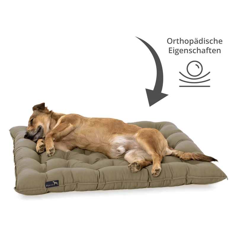Pointer Hundekissen by Doctor Bark – Orthopädisches Premium-Hundebett mit Gelenkentlastung & Wärmespeicherung für schmerzfreien Schlafkomfort