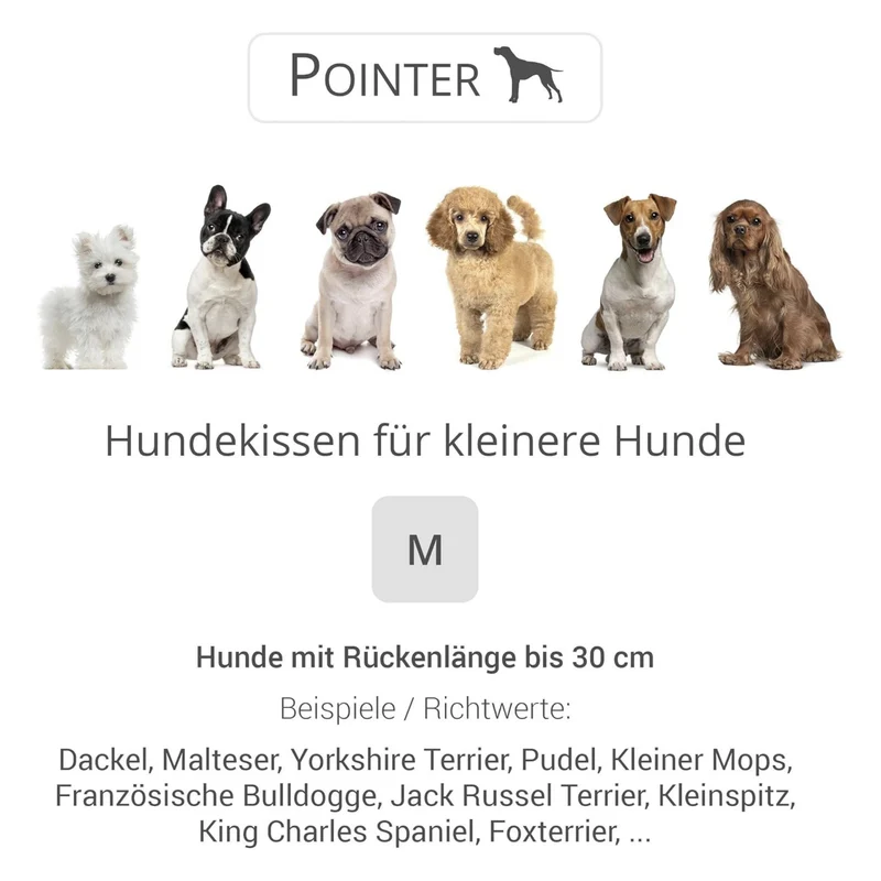 Pointer Hundekissen by Doctor Bark – Orthopädisches Premium-Hundebett mit Gelenkentlastung & Wärmespeicherung für schmerzfreien Schlafkomfort
