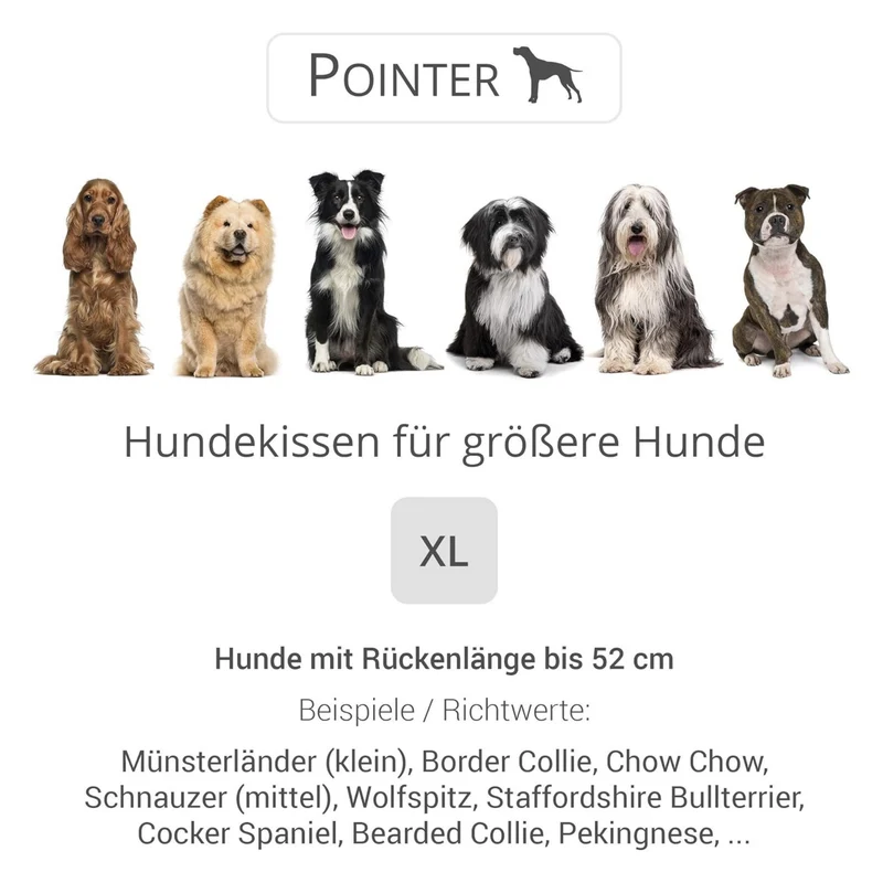 Pointer Hundekissen by Doctor Bark – Orthopädisches Premium-Hundebett mit Gelenkentlastung & Wärmespeicherung für schmerzfreien Schlafkomfort